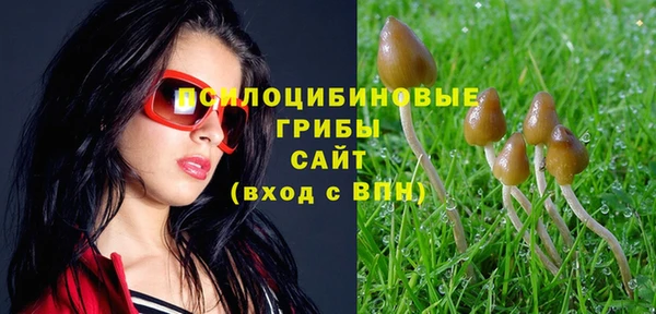 скорость Горняк