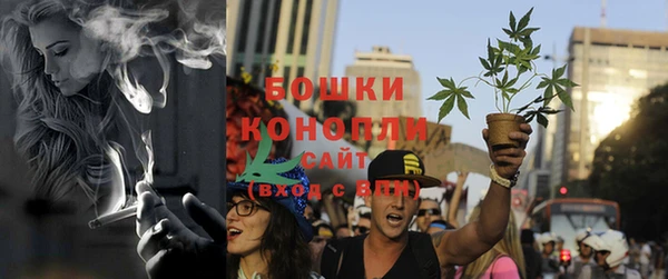 стаф Гусь-Хрустальный