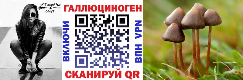 Купить закладки  Конаково  Галлюциногенные грибы Magic Shrooms 